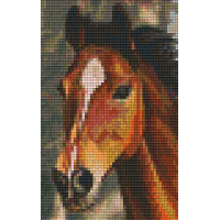 Kôň 32103